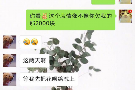 丽江工资清欠服务